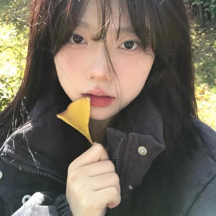 我的挚友安妮·法兰克